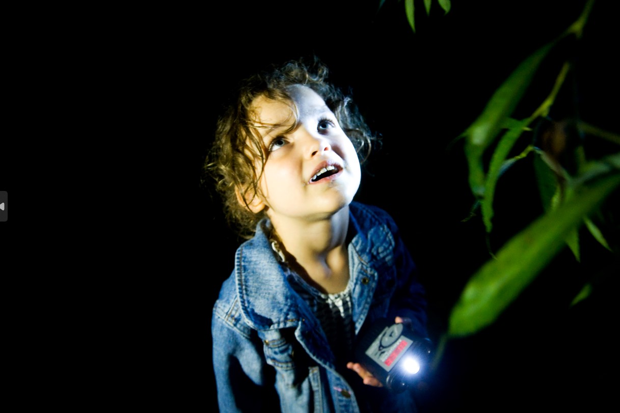 A child stares above looking for bats