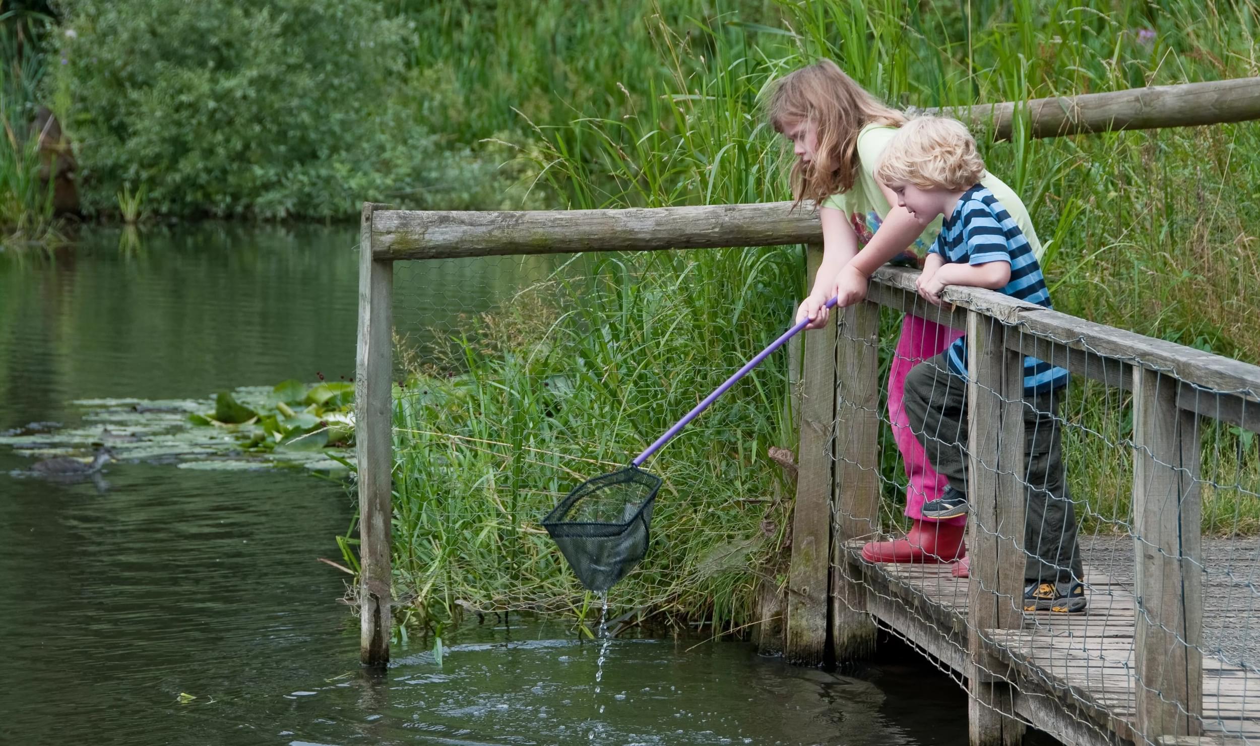 Two children pond dip with a net at Rosliston