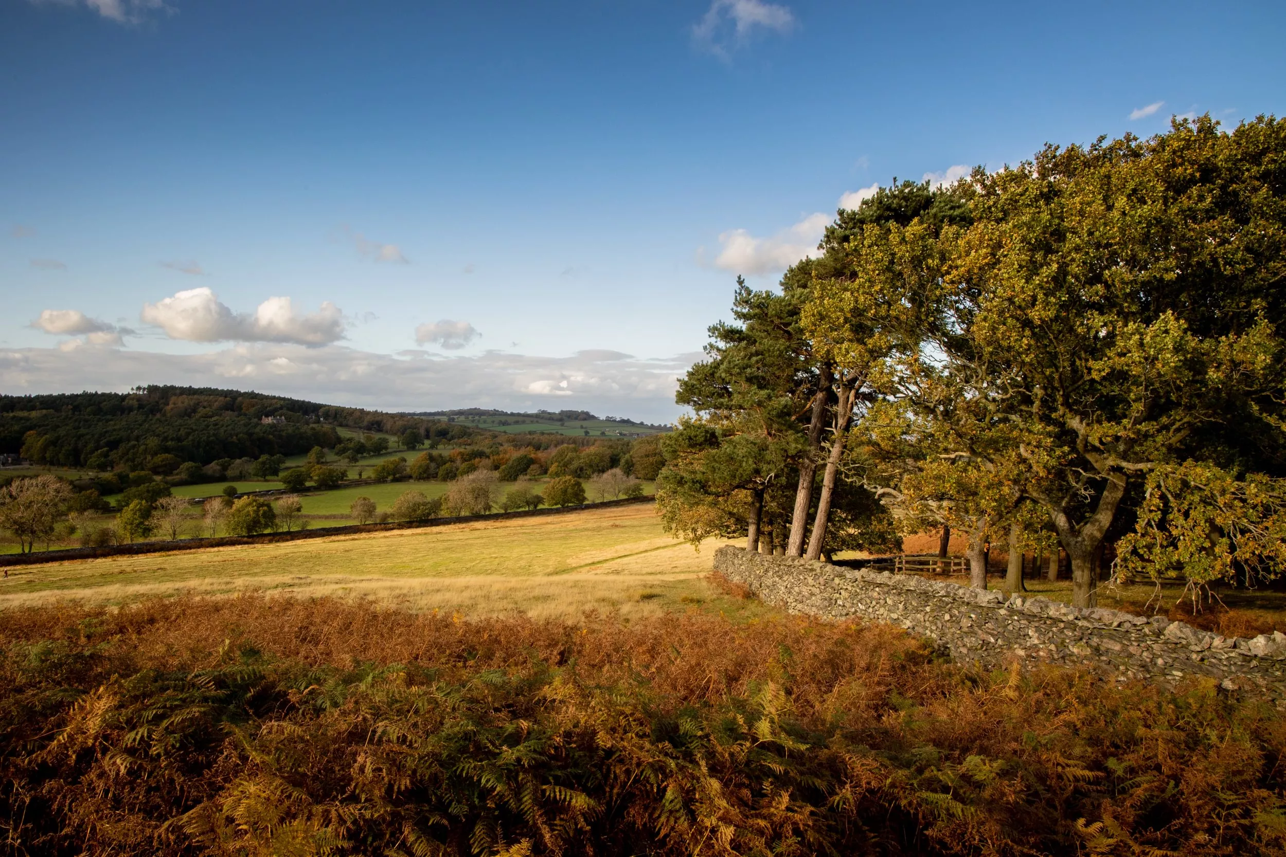 /sites/default/files/2023-08/Bradgate%20Park%20-%20Large.jpg