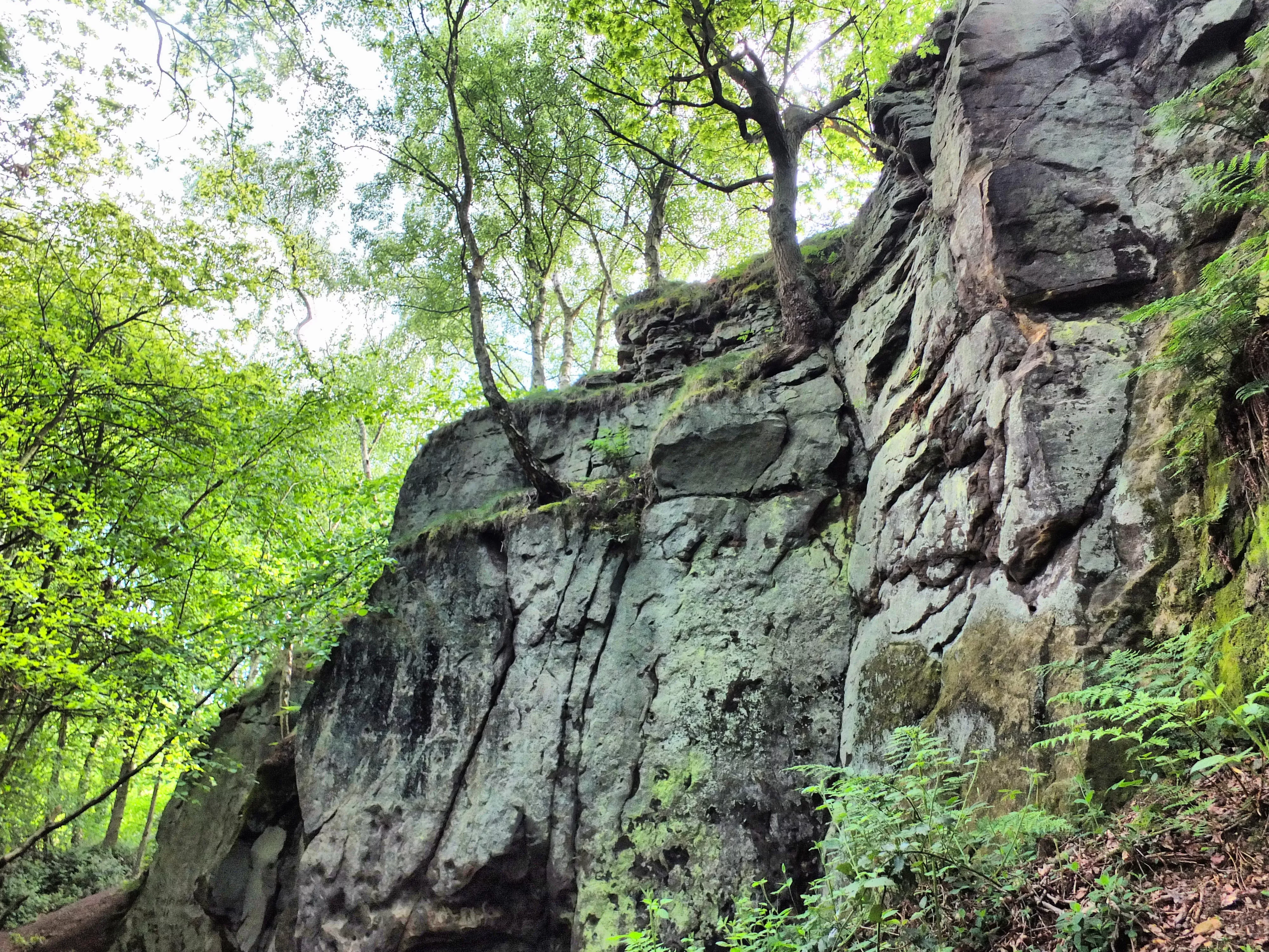 Charnwood Forest Geopark Volunteers