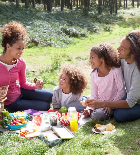 Picnic