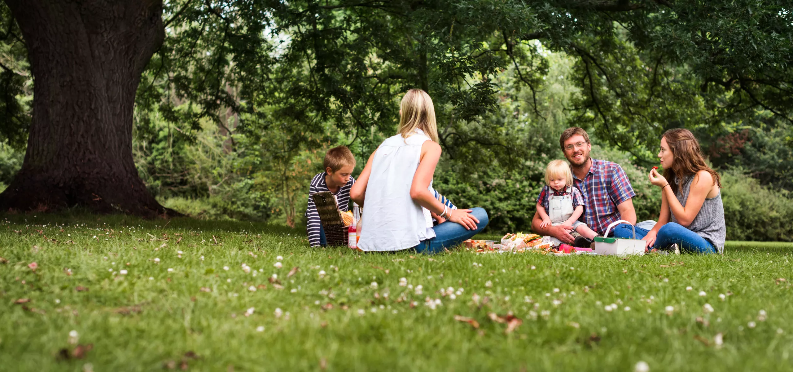 Park picnic