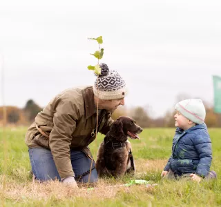 promo image